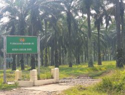 FPMI Angkat Bicara Terkait Lahan HGU PT PN VIII, Sekjen : Pemerintah Pusat Harus Segera Ambil Alih