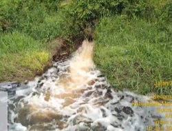 Diduga Cemari Lingkungan: Limbah Pabrik Kelapa Sawit PT Guthrie Pecconina Indonesia (GPI) Di Alirkan Ke Sungai
