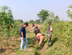 Koptu.Ridwan Bhabinsa Desa Babakan Raden Laksanakan Gotong Royong Bersama Warga
