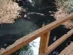 Akibat Pencemaran Sungai Cibodas, Pol PP Jonggol Sebut PT.Belfoods Disanksi Administrasi