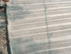 Desa Tanjungrasa Realisasikan Samisade Tahap 2 Tahun 2023, lanjutkan bangun Betonisasi Jalan dan TPT