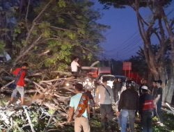 Respon Cepat, Polsek Labuhan Badas Lakukan Evakuasi Pohon Tumbang