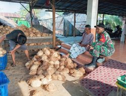 Jaga Silaturahmi Anggota Koramil 04/Jawai Komsos Bersama Petani Kelapa