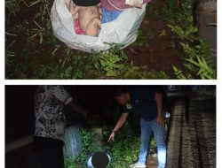 *Polsek Cileungsi Cek TKP Penemuan Mayat Bayi Dan Lakukan Penyelidikan Lanjutan*
