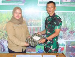 Lanjutkan Program Kementan RI, Kodim 0209/LB Optimasi Lahan Rawa di Labura