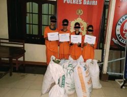 Polres Dairi Amankan 4 Pelaku Curi Cabai Milik Warga Di Siempat Nempu Hulu
