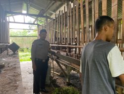 Pencurian 11 Ekor Kambing Terjadi di Desa Pagelaran, Polsek Ciomas Lakukan Investigasi Penyelidikan Lanjut