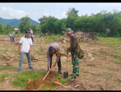 Dukung Penghijauan, Babinsa Dan Bhabinkamtibmas Semamung Kompak Lakukan Penanaman Pohon