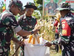 Pangdam IX/Udayana Panen Raya Jagung dan Deklarasi Patriot Pangan