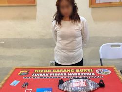 Lantaran Sabu, Seorang IRT di Mataram Ditangkap Sat Narkoba Polresta Mataram