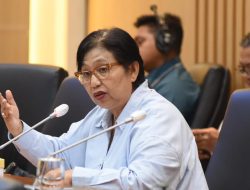 Terima Audiensi FKHN Terkait Nasib Honorer, Irma Suryani: Kami Tak Akan Lepas Tangan