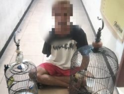 Terduga Pelaku Pencuri Burung Diamankan Tim Opsnal Polsek Ampenan