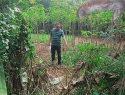 Polsek Parung Tindak Lanjutti Berita Viral Dimana Adanya Dugaan Penganiayaan dan Percobaan Pemerkosaan Terhadap Perempuan Yang Sedang Berolah Raga