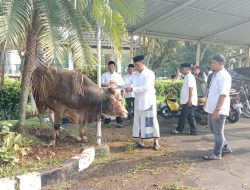 Pemkab Bogor Salurkan 95 Ekor Sapi dan Domba Untuk Masyarakat Kabupaten Bogor Pada Perayaan Idul Adha 1445 Hijriah