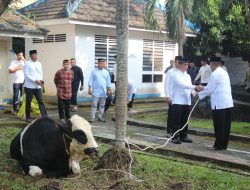 Kerahkan Personel Bhabinkamtibmas, Polda Sumsel Bagikan Daging Kurban Hingga ke Masyarakat Pelosok