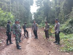 Cegah Perambahan Hutan, TNI-Polri Bersama KPH Ropang Gelar Patroli Gabungan