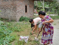 Memanfaatkan Pekarangan Rumah Menjadi Lahan Produktif