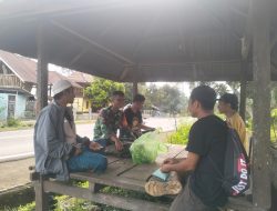 Begini Pesan Babinsa Koramil 1615-10/Sembalun, Pada Saat Kegiatan Komsos Petani Dan Pekebun.
