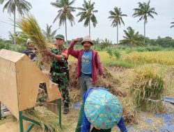 Untuk Mewujudkan Ketahanan Pangan Daerah Binaan, Bhabinsa Darmasari Laksanakan WALPING