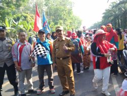 Ribuan Peserta Karnaval Meriakan HUT RI Kecamatan Lubai Ulu