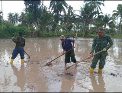 TMMD Ke-121 Kodim/Lotim Hari Ke- 10 Sasaran Kegiatan di Dua Desa Menunjukkan Progres Yang Siginifikan