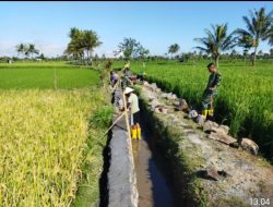 Rangkaian Program TNI Manunggal Membangun Desa (TMMD) ke-121 di Desa Loyok