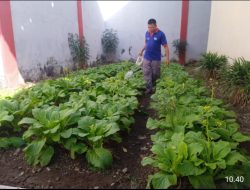 Tetap Produktif, Lapas Selong Maksimalkan Lahan yang Ada