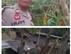 POLSEK CIJERUK BERSAMA INSTANSI TERKAIT CEK LOKASI TKP ADANYA MUSIBAH BENCANA ALAM TANAH LONGSOR