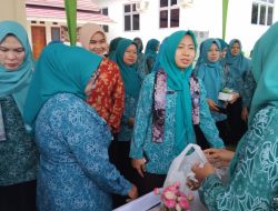 Kunjungan Kerja Ketua TP -PKK Kabupaten Muara Enim Di Kecamatan Lubai Ulu