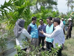Ini Cara PLN Indonesia Power UBP Keramasan Dongkrak Perekonomian Masyarakat Desa Pulau Borang