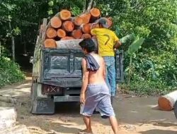 *Alasan Minim Personil Pihak RPH Cariu Sering Kecolongan Kayu dan Batu Dikawasan Hutan Gunung Gambir*