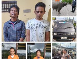 Polsek Sipoholon Bersama Babinsa Kodim 0210/TU Berhasil Meringkus Dua Pencuri Kerbau di Taput, Dua Pelaku Lainnya Masih Dalam Pengejaran