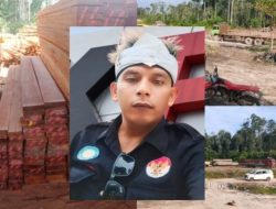 Minta Tekdown Berita, Ada Apa?… Aktivis Januardi Manurung Soroti Praktik Ilegal Logging Yang Diduga Dilakukan Oleh PT Sanur Hasta Mitra Bersama
