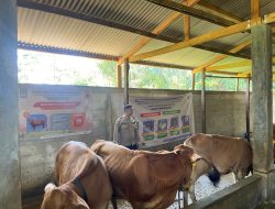 Bhabinkamtibmas Wilayah Hukum Polsek Citeureup Desa Sukahati Giat COOLING Sistem Peninjauan Lokasi Ketahanan Pangan Peternakan Hewan Untuk Tetap Terjaga Kondusifitasnya