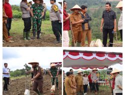 Polres Taput Dukung Ketahanan Pangan 2025, Serentak Tanam Jagung