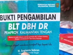 Januardi Manurung kembali angkat bicara ,terkait dugaan pelanggaran dan Kuropsi oleh mantan kades, PLT serta PJ atau sekdes desa Humbang raya , kecamatan mantangai , kabupaten Kapuas Kalteng .
