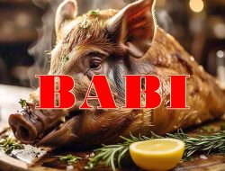 *Babi*