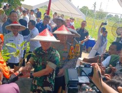 SAWAH DI KOTA TAK HANYA TINGGAL KENANGAN: *Panen Raya Serentak di Selapajang, Walikota Tangerang dan Warga Tunjukkan Bukti Nyata Cinta Pertanian*