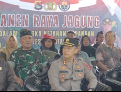 Kapolresta Mataram Pimpin Panen Raya Jagung, Wujud Dukung Program Ketahanan Pangan Nasional