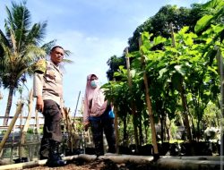 Dukung Ketahanan Pangan, Bhabinkamtibmas Pejanggik Rutin Pantau Kebun Pekarangan Warga