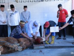 Polda NTB dan Polresta Tebar Kepedulian Lewat 248 Hewan Qurban
