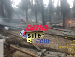 Kebakaran Hebat Sumur Minyak Ilegal di Lahan HGU PT Hindoli: Diduga Milik Diana