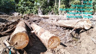 Riduan Bongkar Dugaan Perambahan Hutan dan Ilegal Logging di Kapuas Hulu: “Laporan Kami Seperti Jadi ATM Berjalan”