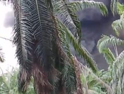 LAKI watch Akan Meminta Kapolda untuk segera Mengevaluasi Jajaran Polres Hingga Polsek di Muba  