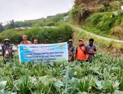 Dorong Ketahanan Pangan Nasional: Petani Milenial Jayawijaya, Magang dan Bimtek di Magelang – Jawa Tengah