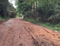 Jalan Lintas Sekayu – Dawas – Berlian Makmur (C2) Rusak Parah, Warga Sindir Perbaikan ala Kardus dan Cangkul