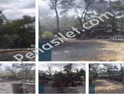 Puluhan Kilang Diduga Ilegal di Rimba Ukur Bebas Beroperasi: APH dan Pemerintah Daerah Dinilai Tutup Mata