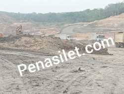 Subkontraktor Tambang Disorot: PT Mega Putra Perkasa Diduga Tak Kantongi IUJP, Puluhan Dump Truk Berplat Luar Daerah Beroperasi di Muba