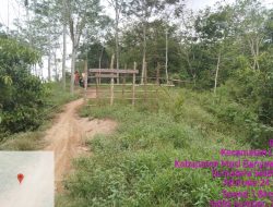 Sungai Ditimbun, Lahan Diserobot? Dugaan “Tangan Besi” Pengusaha Perkebunan di Muba, Warga Meminta Polda Sumsel Turun Tangan