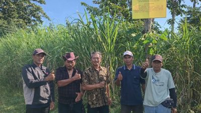 Klaim Ahli Waris vs Penggarap: Tanah 50 Hektar di Kalipare Terancam Pidana Penyerobotan